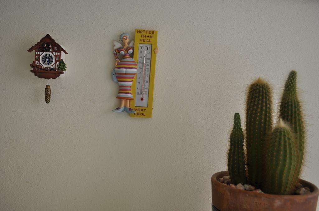 San Domenico Apartment ボローニャ エクステリア 写真