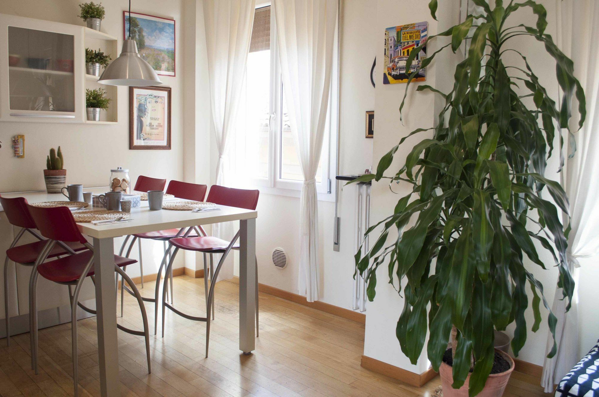 San Domenico Apartment ボローニャ エクステリア 写真